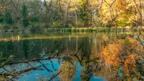 Jesień w Rezerwacie Przyrody Krutynia, październik 2025 r. - zdjęcie 32