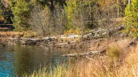 Mazurska jesień nad jeziorem Wesołek, październik 2025 r. - zdjęcie 16