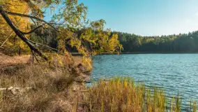 Mazurska jesień nad jeziorem Wesołek, październik 2025 r. - zdjęcie 15