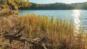 Mazurska jesień nad jeziorem Wesołek, październik 2025 r. - zdjęcie 36