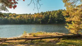 Mazurska jesień nad jeziorem Wesołek, październik 2025 r. - zdjęcie 9