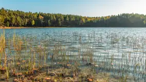 Mazurska jesień nad jeziorem Wesołek, październik 2025 r. - zdjęcie 24
