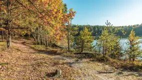 Mazurska jesień nad jeziorem Wesołek, październik 2025 r. - zdjęcie 39