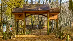 Spacer po Lesie Miejskim w Giżycku, listopad 2025 r. - zdjęcie 48