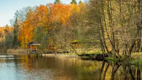 Spacer po Lesie Miejskim w Giżycku, listopad 2025 r. - zdjęcie 2