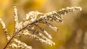 Spacer po Lesie Miejskim w Giżycku, listopad 2025 r. - zdjęcie 20