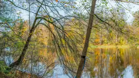 Jesień w Boyen Water Park, po lecie już tylko spacery... - zdjęcie 19