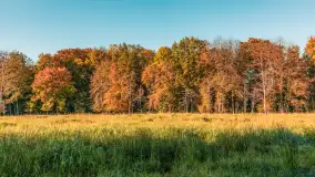 Jesień w Rezerwacie Przyrody Sztynort, październik 2025 r. - zdjęcie 34