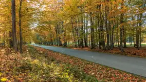 Jesień w Rezerwacie Przyrody Sztynort, październik 2025 r. - zdjęcie 33