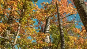 Jesień w Rezerwacie Przyrody Sztynort, październik 2025 r. - zdjęcie 19