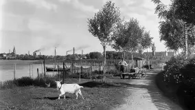 Wkrótce ożywimy AI pocztówki ze Szczytna / Ortelsburg - zdjęcie 25