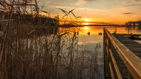 Zachód słońca nad jeziorem Gołdopiwo, listopad 2025 r. - zdjęcie 1