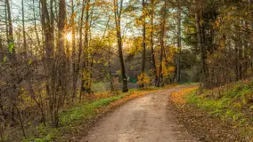 Końcówka mazurskiej, złotej jesieni, listopad 2025 r. - zdjęcie 16