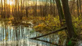 Końcówka mazurskiej, złotej jesieni, listopad 2025 r. - zdjęcie 6