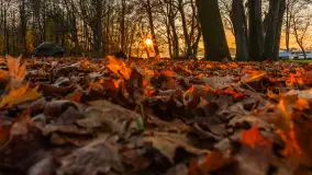 Zachód słońca, końcówka kolorów jesieni w Sztynorcie, listopad 2025 r. - zdjęcie 10