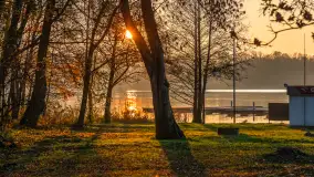 Zachód słońca, końcówka kolorów jesieni w Sztynorcie, listopad 2025 r. - zdjęcie 11