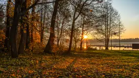 Zachód słońca, końcówka kolorów jesieni w Sztynorcie, listopad 2025 r. - zdjęcie 15