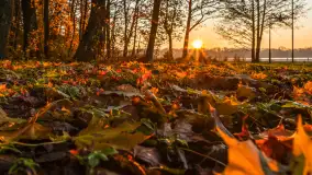 Zachód słońca, końcówka kolorów jesieni w Sztynorcie, listopad 2025 r. - zdjęcie 24