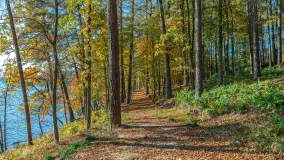 Jesień nad jeziorem Nidzkim, port i ośrodek Wodnik, Ruciane-Nida, październik 2025 r. - zdjęcie 6