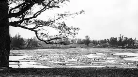 Wkrótce ożywimy AI pocztówki z Rucianego Nidy / Niedersee, wracamy do przeszłości - zdjęcie 66