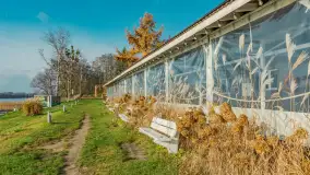 Końcówka jesieni w Pięknym Brzegu, nad jeziorem Święcajty, listopad 2025 r. - zdjęcie 9