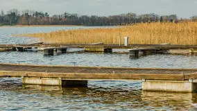 Końcówka jesieni w Pięknym Brzegu, nad jeziorem Święcajty, listopad 2025 r. - zdjęcie 29