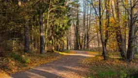 Końcówka jesieni przy śluzie Przerwanki, listopad 2025 r. - zdjęcie 21