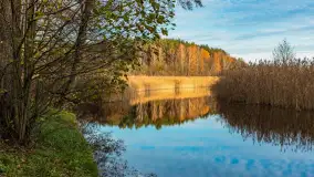 Końcówka jesieni przy śluzie Przerwanki, listopad 2025 r. - zdjęcie 9