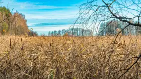 Końcówka jesieni przy śluzie Przerwanki, listopad 2025 r. - zdjęcie 29