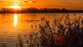 Zachód słońca nad jeziorem Niegocin, listopad 2025 r. - zdjęcie 17