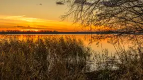 Zachód słońca nad jeziorem Niegocin, listopad 2025 r. - zdjęcie 5