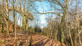 Zwalony Most w Kruklankach, listopad 2025 r. - zdjęcie 4