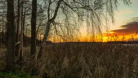 Zachód słońca nad jeziorem Bocznym w Rydzewie, listopad 2025 r. - zdjęcie 4