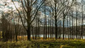 Jezioro Krzywa Kuta między jesienią, a zimą, listopad 2025 r. - zdjęcie 15