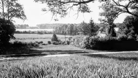 Wkrótce ożywimy AI pocztówki ze Sztynortu / Steinort, wracamy do przeszłości - zdjęcie 3