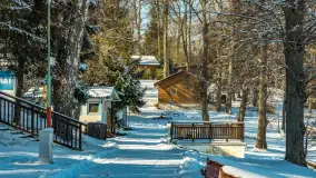 Słoneczna zima w Łabędzim Ostrowiu, luty 2025 r. - zdjęcie 36