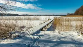 Słoneczna zima w Łabędzim Ostrowiu, luty 2025 r. - zdjęcie 1