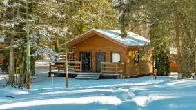 Słoneczna zima w Łabędzim Ostrowiu, luty 2025 r. - zdjęcie 23