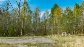 Niewielkie jezioro niedaleko śluzy Długopole, kwiecień 2025 r. - zdjęcie 12