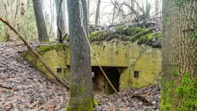 Schrony Kruklaneckiej pozycji umocnieniowej - zdjęcie 2