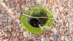 Schrony Kruklaneckiej pozycji umocnieniowej - zdjęcie 48