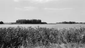 Wkrótce ożywimy AI pocztówki i zdjęcia z Wydmin / Widminnen, wracamy do przeszłości - zdjęcie 48