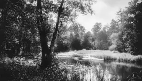 Krutynia na starych zdjęciach i pocztówkach - zdjęcie 22