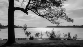 Pasym / Passenheim na starych pocztówkach i zdjęciach - zdjęcie 57