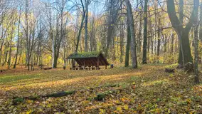 Jesień w lesie miejskim w Giżycku, listopad 2025 r. - zdjęcie 30