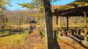 Jesień w lesie miejskim w Giżycku, listopad 2025 r. - zdjęcie 37