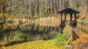 Jesień w lesie miejskim w Giżycku, listopad 2025 r. - zdjęcie 24