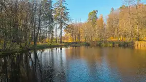 Jesień w lesie miejskim w Giżycku, listopad 2025 r. - zdjęcie 21