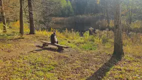 Jesień w lesie miejskim w Giżycku, listopad 2025 r. - zdjęcie 44