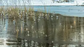 Zima w porcie Resort Niegocin, grudzień 2025 r. - zdjęcie 31